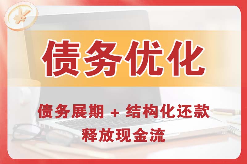 吴川债务优化